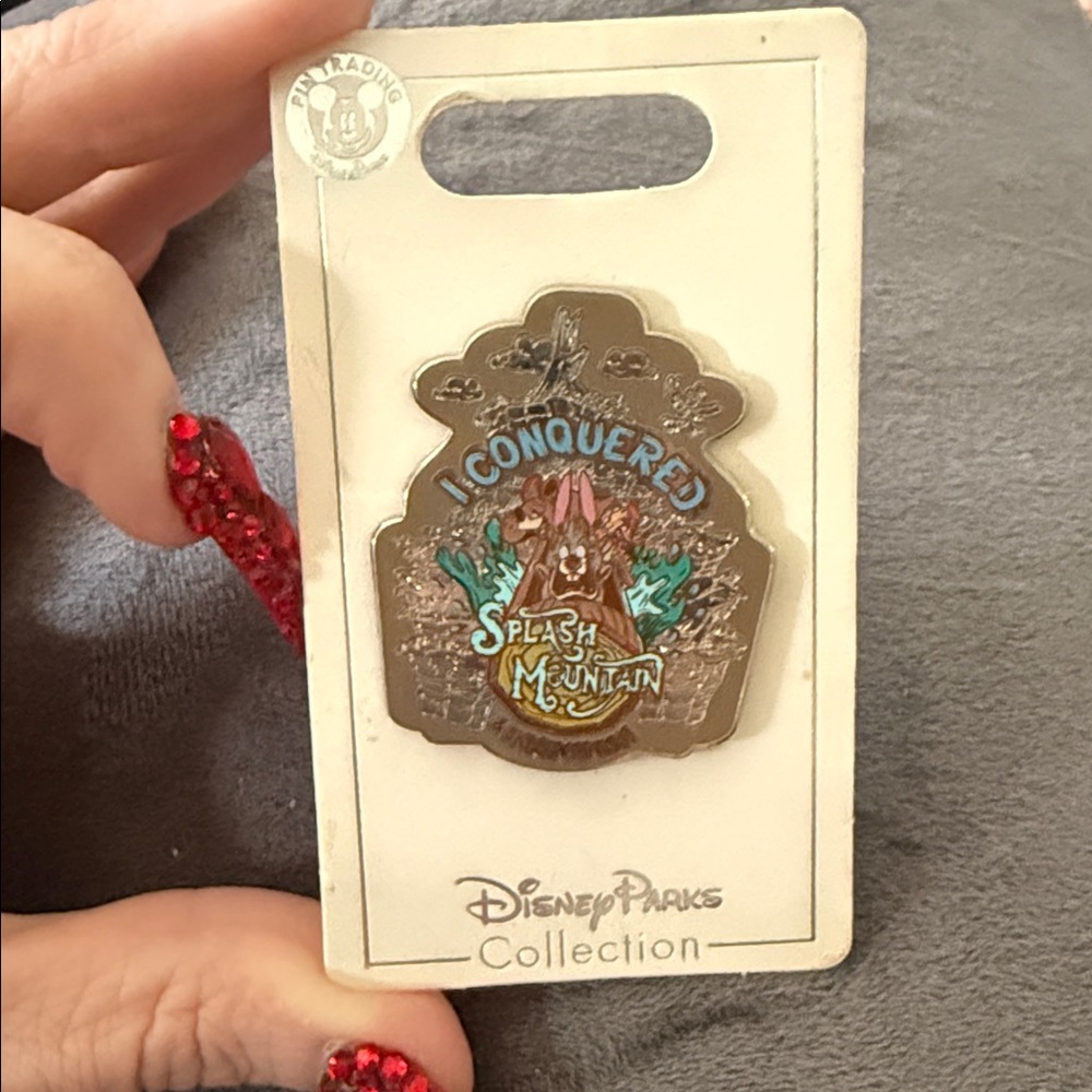 Disney Parks Splash Mountain Pin NEW Disney park exclusive “I conquered”